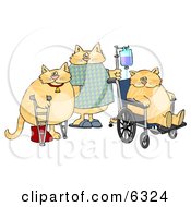 Three Orange Cats With IV Dispensers Crutches Casts And Wheelchairs In A Hospital Clipart Picture by djart #COLLC6324-0006