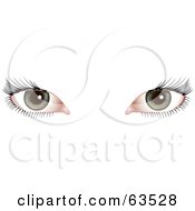 Poster, Art Print Of Womans Green Eyes With Long Black Lashes