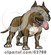 Poster, Art Print Of Friendly Pitbull Dog