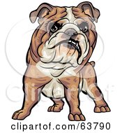 Poster, Art Print Of Friendly Bulldog