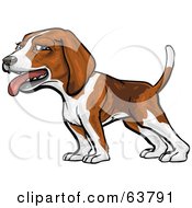 Royalty Free RF Clipart Illustration Of A Friendly Beagle Dog by Tonis Pan