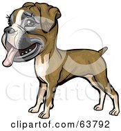 Royalty Free RF Clipart Illustration Of A Friendly Boxer Dog