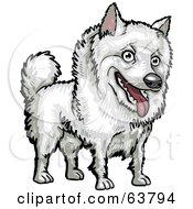 Royalty Free RF Clipart Illustration Of A Friendly White American Eskimo Dog by Tonis Pan