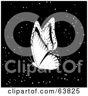 Poster, Art Print Of White Flying Butterfly Over Sparkly Blacka