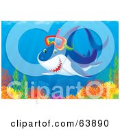 Poster, Art Print Of Snorkeling Shark Above A Colorful Reef