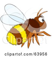 Poster, Art Print Of Furry Brown And Yellow Bee