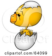 Poster, Art Print Of Yellow Baby Chick Hatching From An Egg With A Shell On His Head