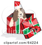 Christmas Spaniel Puppy Emerging From A Gift Box