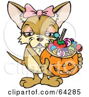 Trick Or Treating Chihuahua Holding A Pumpkin Basket Full Of Halloween Candy