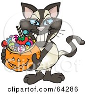 Trick Or Treating Siamese Cat Holding A Pumpkin Basket Full Of Halloween Candy