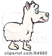 Poster, Art Print Of White Alpaca Facing Right