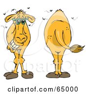 Royalty Free RF Clipart Illustration Of Front And Back Views Of A Stinky Camel