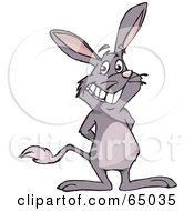 Royalty Free RF Clipart Illustration Of A Grinning Bilby by Dennis Holmes Designs