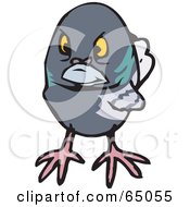 Poster, Art Print Of Grumpy Pigeon Facing Front