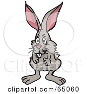 Royalty Free RF Clipart Illustration Of A Shaggy Wild Rabbit Facing Front
