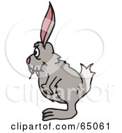 Royalty Free RF Clipart Illustration Of A Shaggy Wild Rabbit Facing Left