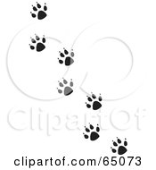 Trail Of Black And White Paw Prints