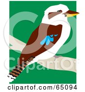 Poster, Art Print Of Kookaburra Bird Perched On A Branch
