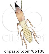 Royalty Free RF Clipart Illustration Of An Aerial View Of A Termite