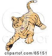 Poster, Art Print Of Playful Tiger Running Forward