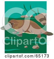 Royalty Free RF Clipart Illustration Of A Wild Brown Platypus