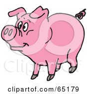 Royalty Free RF Clipart Illustration Of A Pink Curly Tailed Piggy Looking Left