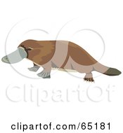 Royalty Free RF Clipart Illustration Of A Waddling Wild Brown Platypus