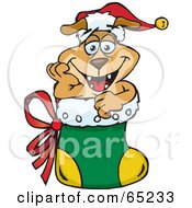 Poster, Art Print Of Jolly Sparkey Dog Nestled In A Christmas Stocking