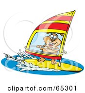 Sparkey Dog Wind Surfing