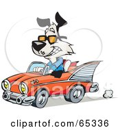 Black And White Dog Driving A Classic Convertible Car