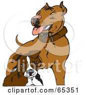 Poster, Art Print Of Two Brown Pit Bull Terriers