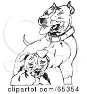 Poster, Art Print Of Two Black And White Pit Bull Terriers
