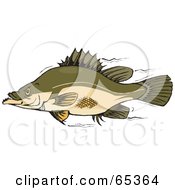 Royalty Free RF Clipart Illustration Of A Profiled Yellow Belly Fish