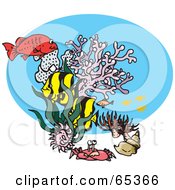 Crab Corals And Other Marine Fish Swimming In The Sea