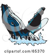 Poster, Art Print Of Blue Whale With Black Stripes Emerging From The Water
