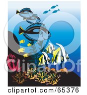 Poster, Art Print Of Blue Tangs And Tropical Fish At A Coral Reef