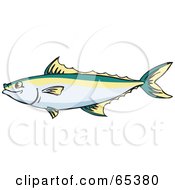 Poster, Art Print Of Profiled King Mackerel Fish