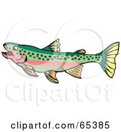 Poster, Art Print Of Swimming Rainbow Trout