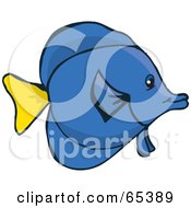 Poster, Art Print Of Tropical Blue Fish With A Yellow Fin