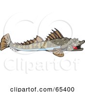 Royalty Free RF Clipart Illustration Of A Brown Flathead Fish