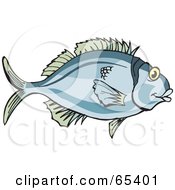 Poster, Art Print Of Pale Blue Fish With Green Fins