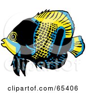 Blue Black And Yellow Butterfly Fish
