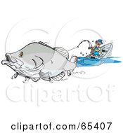 Large Barramundi Fish Pulling A Man In A Boat