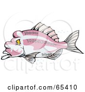 Poster, Art Print Of Pink Snapper In Profile