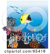 Poster, Art Print Of Clownfish Butterfly Fish And Sea Anemones At A Coral Reef