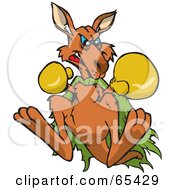 Royalty Free RF Clipart Illustration Of A Boxing Kangaroo Looking Down