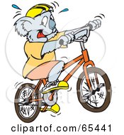 Poster, Art Print Of Sweaty Koala Riding A Bicycle