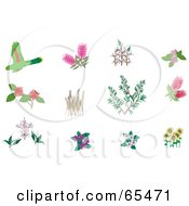 Royalty Free RF Clipart Illustration Of A Digital Collage Of Plants And Birds