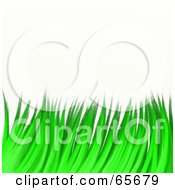 Royalty Free RF Clipart Illustration Of A Background Of Green Grassy Blades Over White