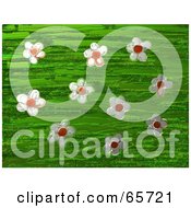 Poster, Art Print Of Background Of Daisy Flowers Over Green